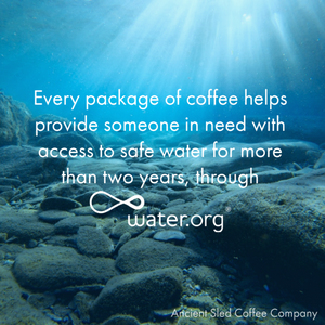 Helping to provide access to safe water through water.org
